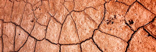Unsplash_Dried Soil