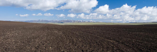 Unsplash-Soil