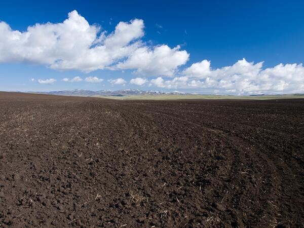 Unsplash_ Farm Soil