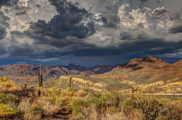 Desert (c) unsplash